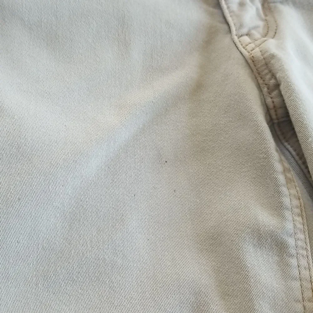 American Eagle Gorpcore Coastal Camping Hiking Retro Y2K Boyfriend Shorts Size 6